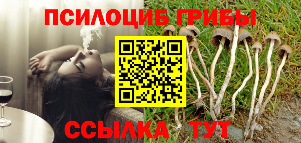 Галлюциногенные грибы мухоморы Котлас