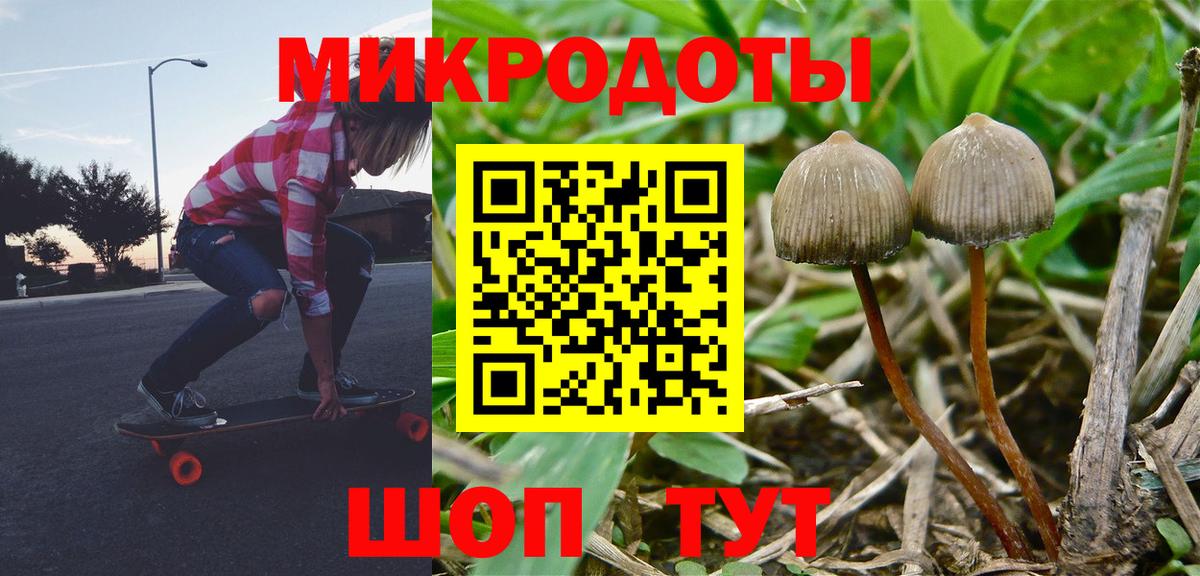 Котлас  Галлюциногенные грибы Psilocybe  Вход с VPN  Псилоцибиновые грибы прущие грибы 